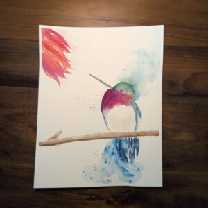 Colibri Joufflu