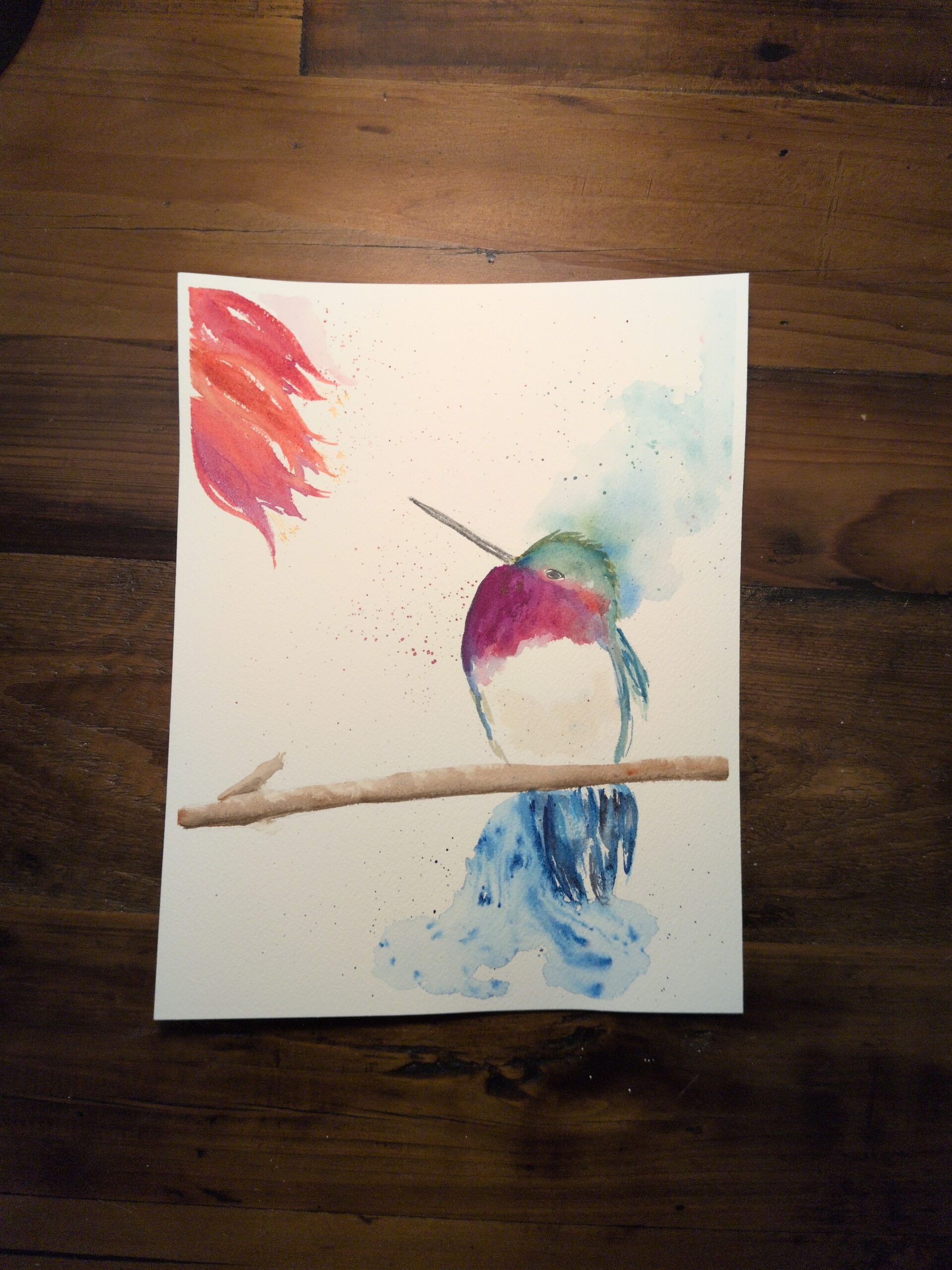 Colibri Joufflu