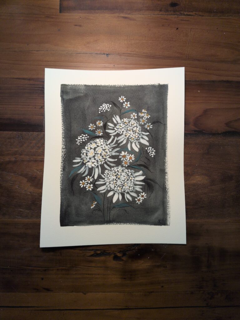Orlaya Lace