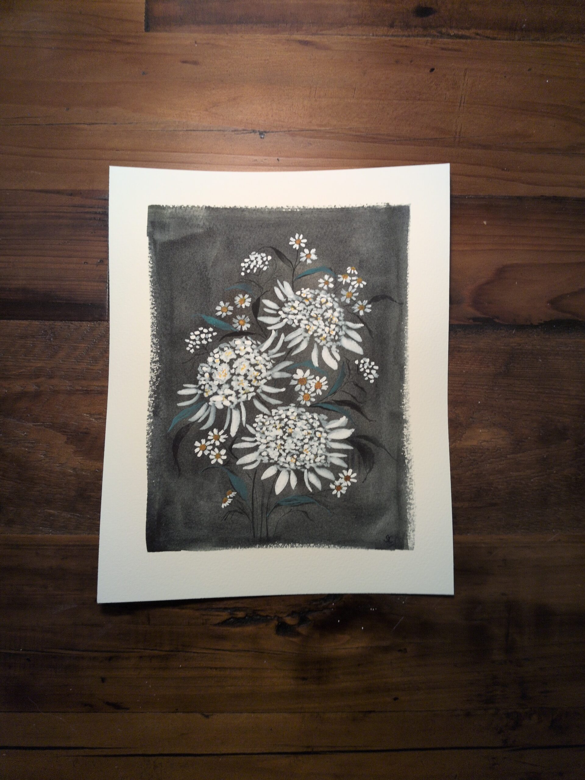 Orlaya Lace