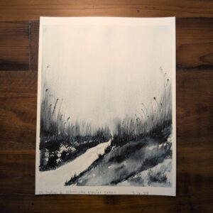 Shadowy Silence